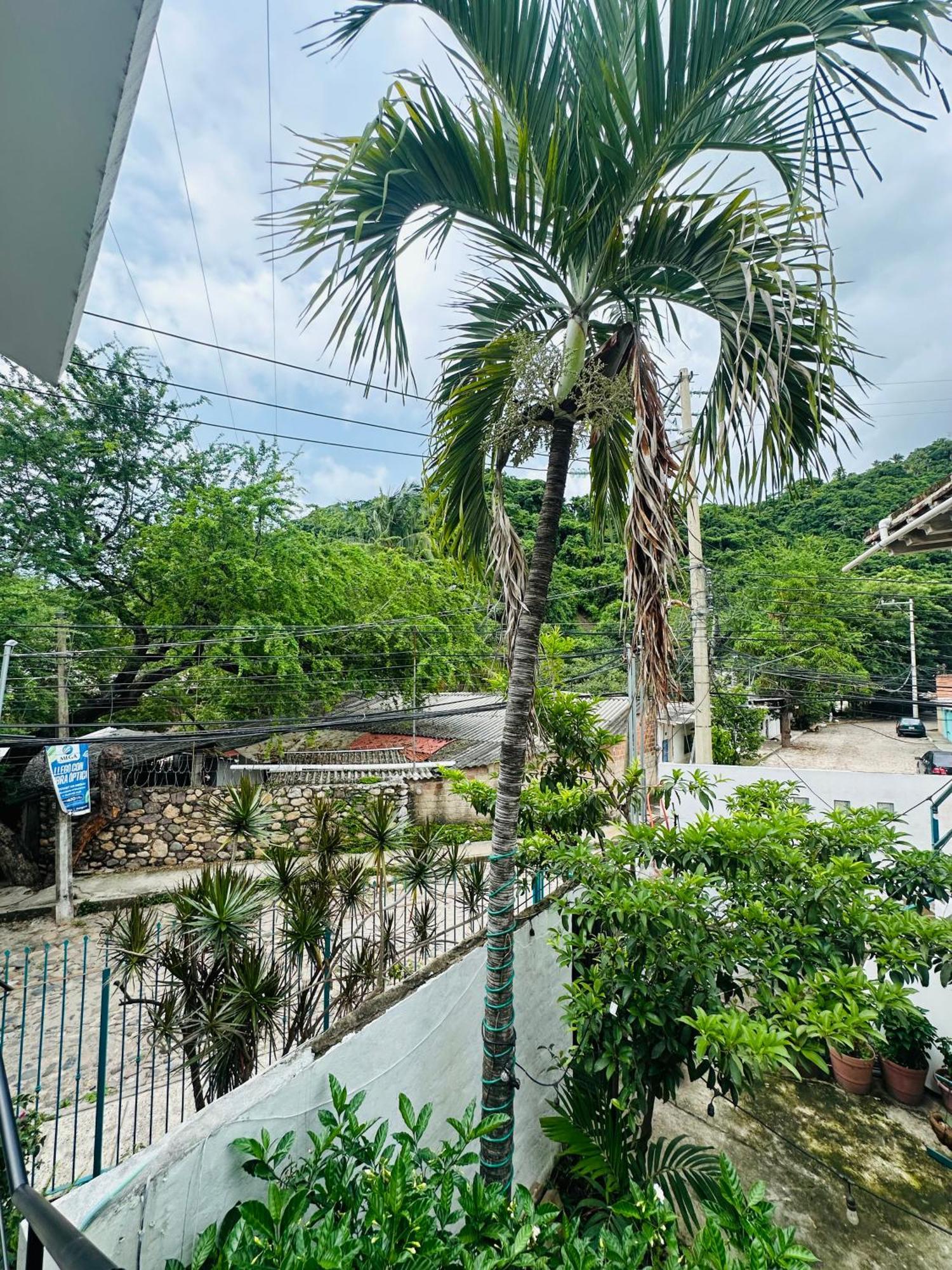 Apartament Loft Rio Puerto Vallarta Zewnętrze zdjęcie