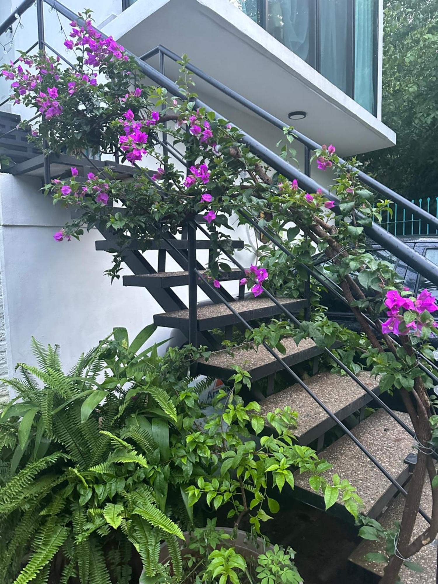 Apartament Loft Rio Puerto Vallarta Zewnętrze zdjęcie